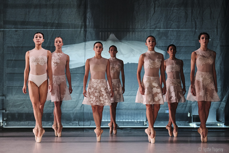 Le Lac des Cygnes - photo Agathe Poupeney 2