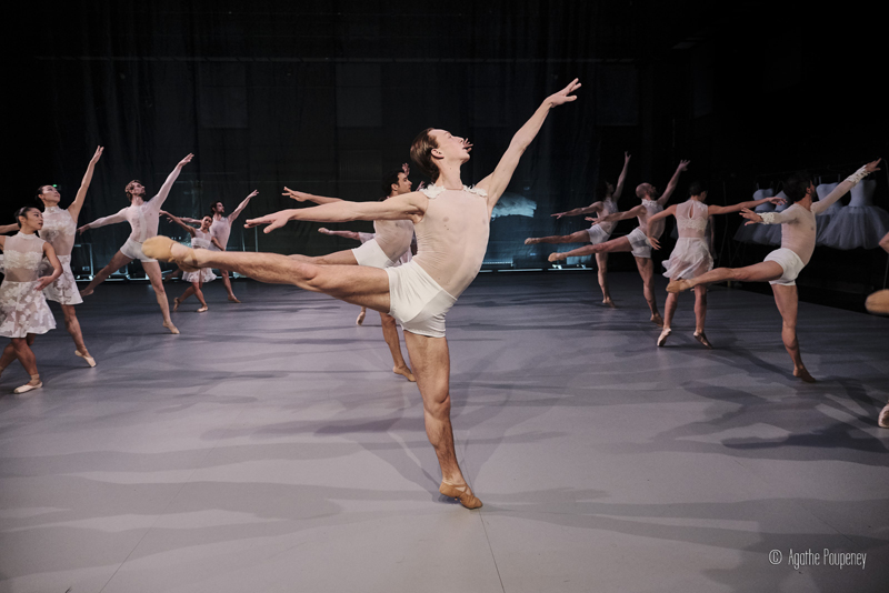 Le Lac des Cygnes - photo Agathe Poupeney 4